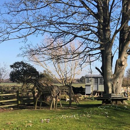 The Shepherd'S Hut @ Chichester Cottage Esterno foto
