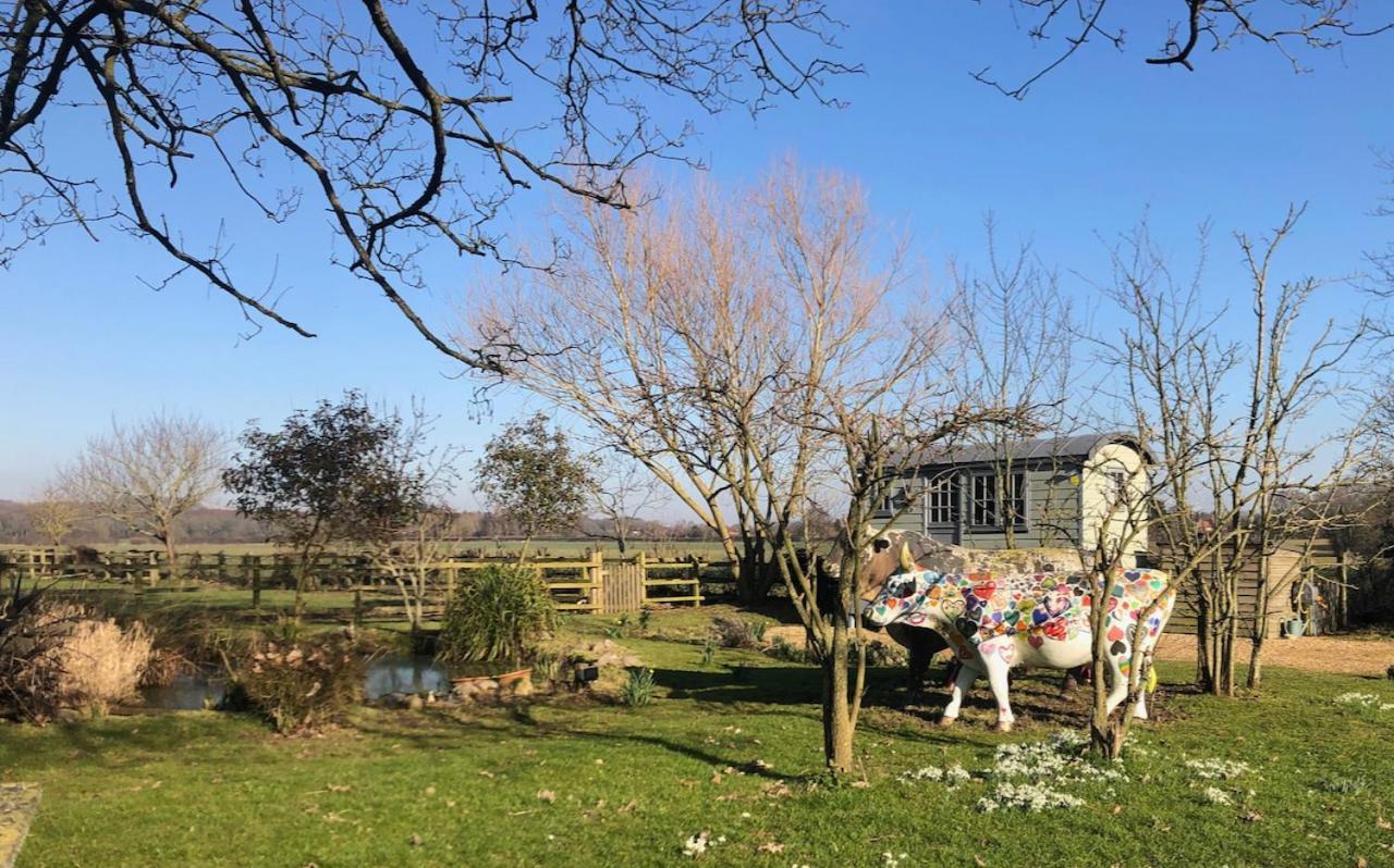 The Shepherd'S Hut @ Chichester Cottage Esterno foto