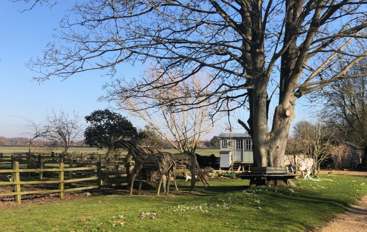 The Shepherd'S Hut @ Chichester Cottage Esterno foto
